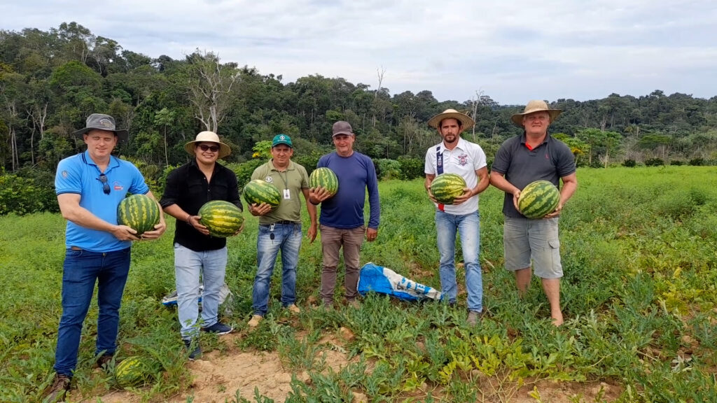 Agricultura familiar cresce em Jacareacanga.