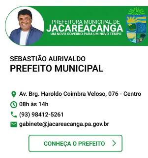 Prefeito Municipal