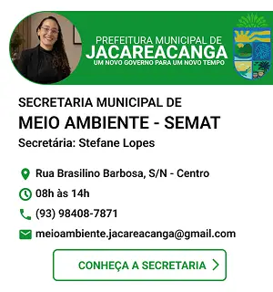 SEMAT