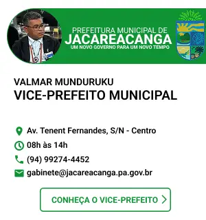 Vice-Prefeito Municipal